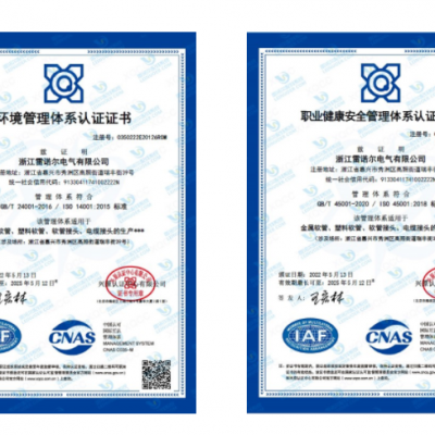 雷諾爾電氣順利通過ISO14001和ISO45001環境、安全管理體系認證